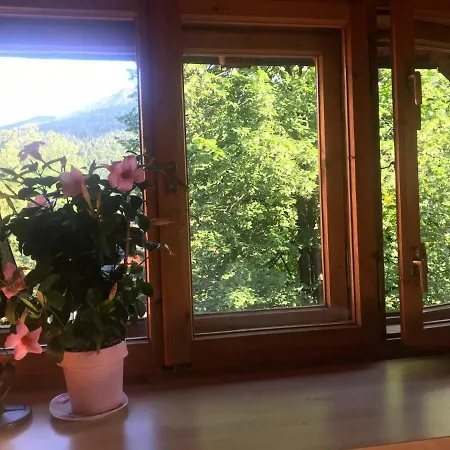 Arkadia Homestay